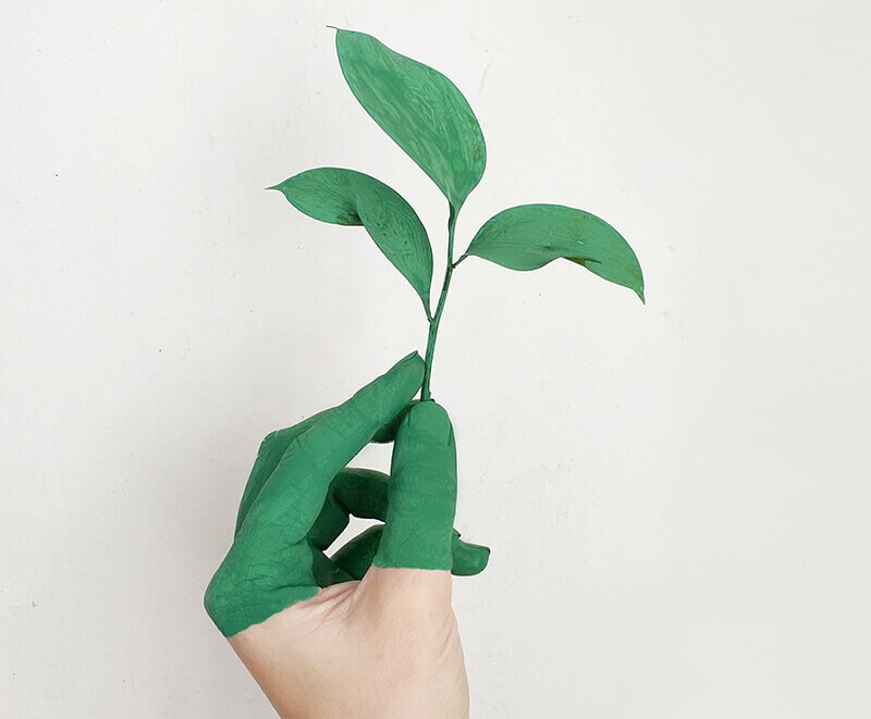Grüne Hand mit Pflanze zeigt Nachhaltigkeit