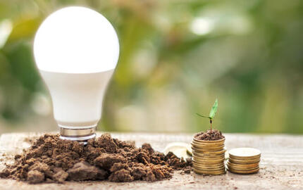 Glühbirne neben Geldstücken als Energie sparen